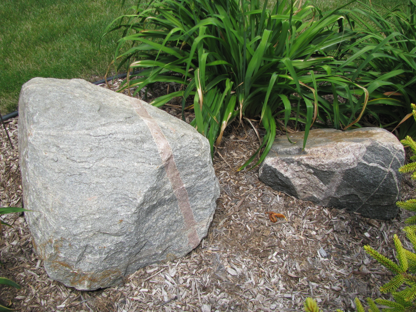 Accent boulder