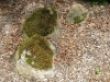 Old Mossy Rock