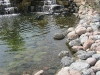 Pond Rocks